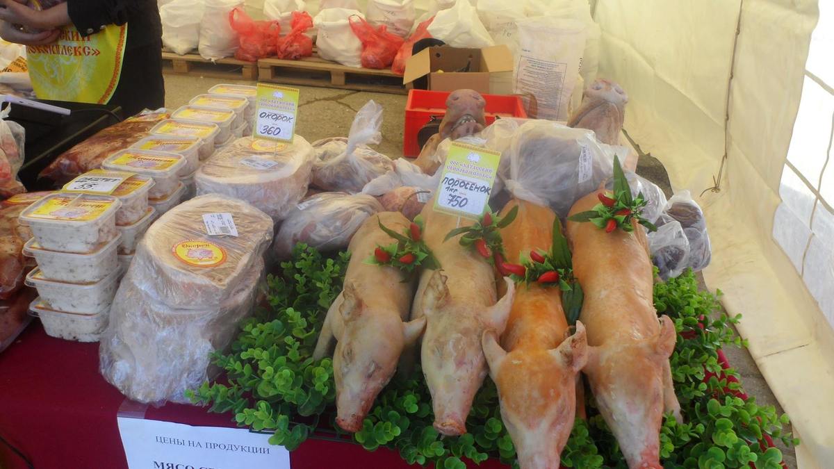 21765816_911406229035777_507066525725737990_o