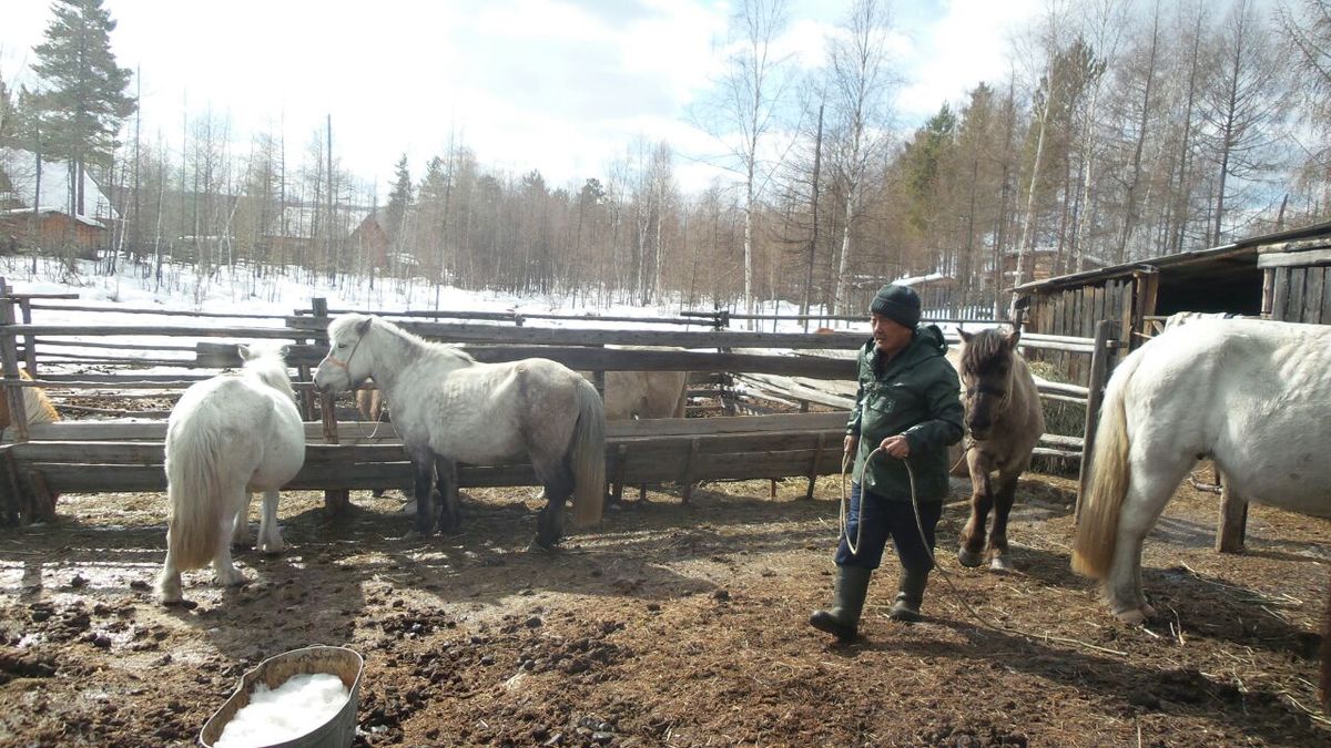 Департамент ветеринарии Якутии нарушал закон, взымая плату за бланки