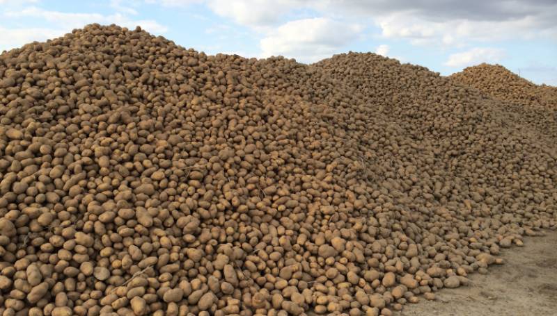 Субсидия фермеру на строительство овощехранилища будет доведена до конца октября