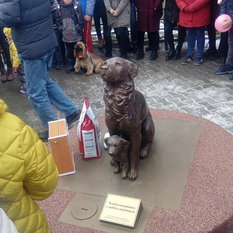Фотовзгляд: В Якутске появилась скульптура собаки-копилки