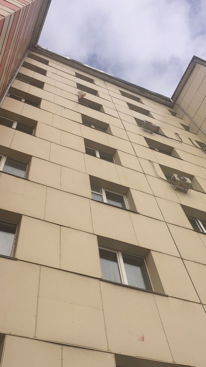 В Якутске живодеры выбрасывают из окон изуродованные трупы собак (+видео)