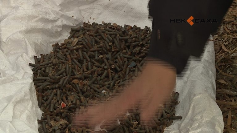Житель Якутии обнаружил боеприпасы в лесу