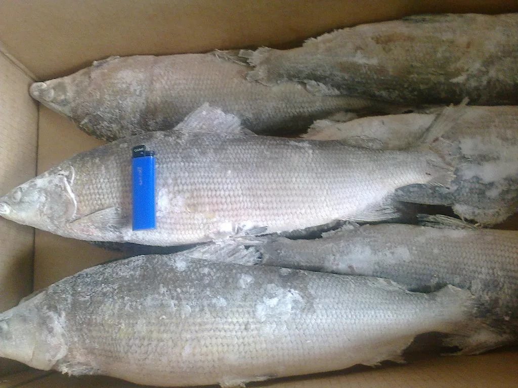 Дешевле на 20%-40%. В Якутске пройдет выставка-ярмарка «Рыба Якутии – 2017»