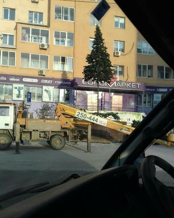 Фотофакт: В Якутске установили первую елку