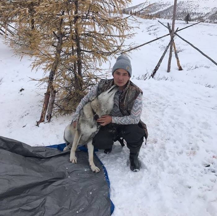 Ручной волк Виктора Лебедева