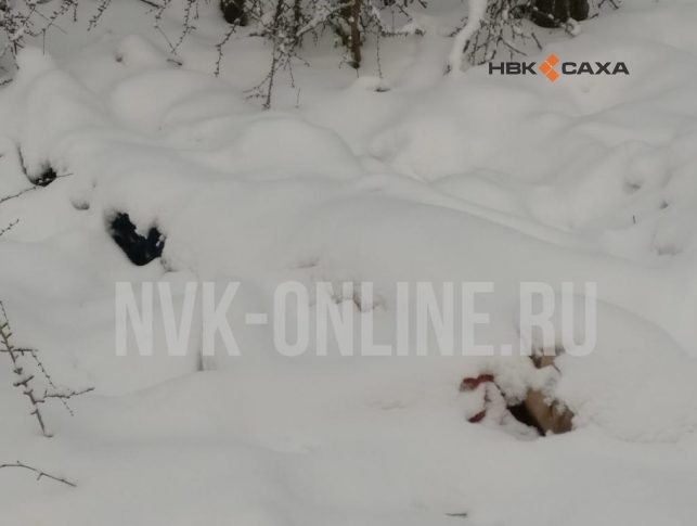 В деле об убийстве Иннокентия Макарова задержан второй подозреваемый (эксклюзивное видео НВК "Саха")