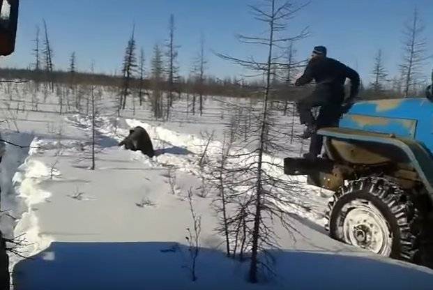 Работники "Якутскгеофизики" ответят за расправу над бурым медведем в якутской тайге	(+видео)