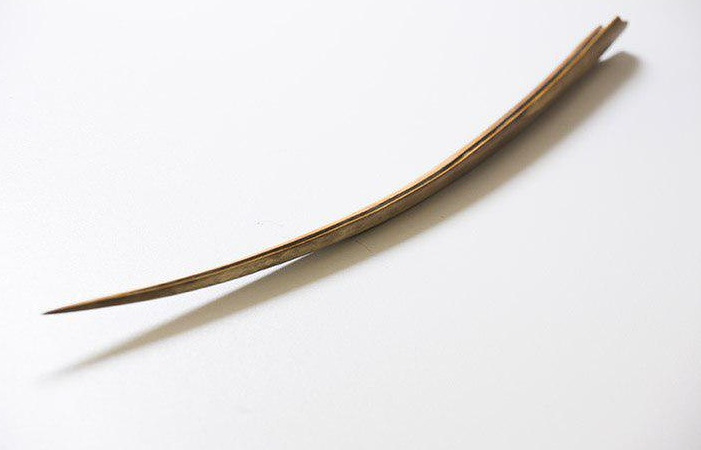 На севере Якутии нашли уникальное копье внутри скелета мамонта