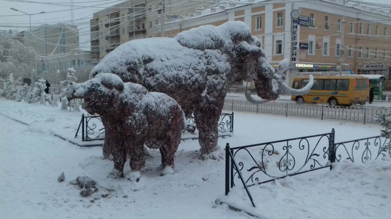 Cкульптуры мамонтов из мокрого снега в Якутске, скорее всего, сломали дети