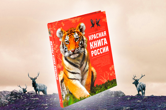 Депутаты встали на защиту Красной книги от «охотничьего лобби»