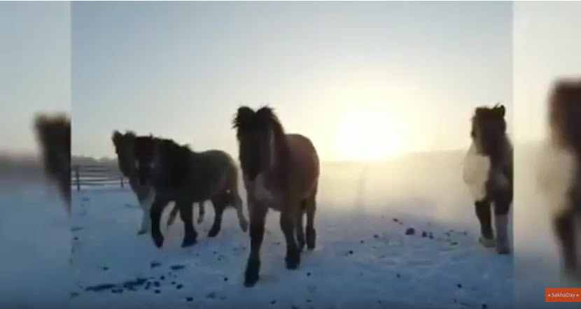 Первый канал о Якутии (видео)