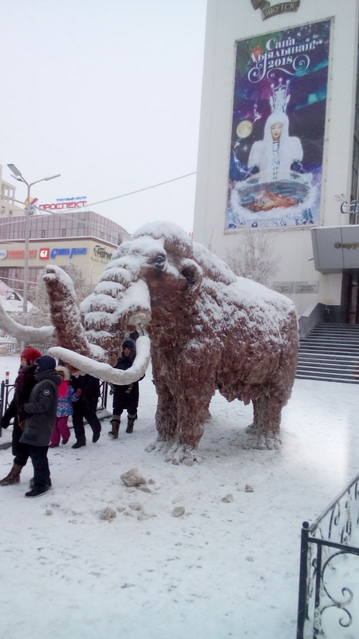 В Якутске у мамонта отломили часть бивня