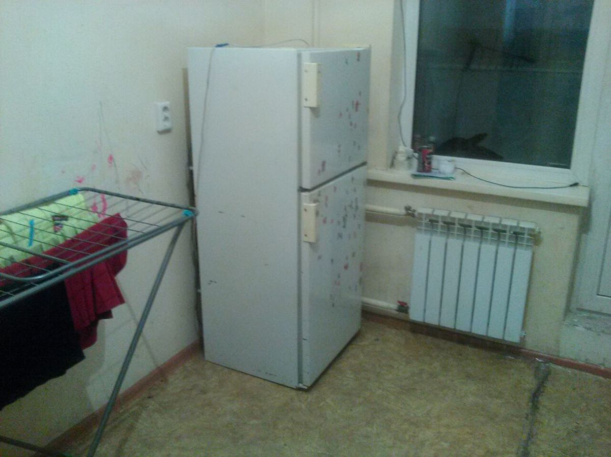 Знакомые привезли Свете холодильник