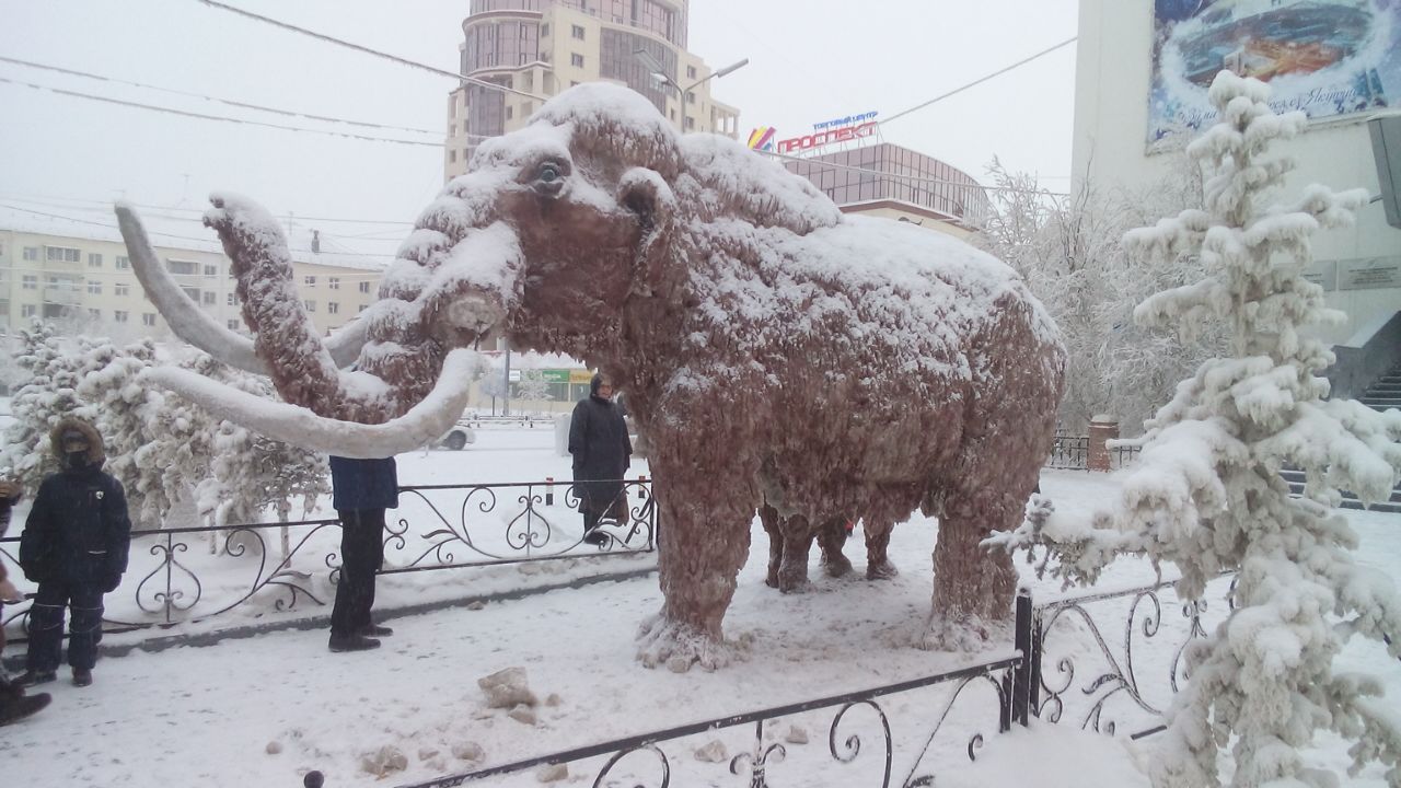 de446256-79d3-43fd-9ffa-d9c069002e53