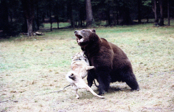 Депутаты и сенаторы нашли компромисс по притравочным станциям