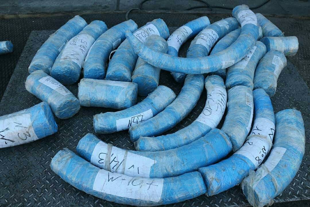 26868721_164784294147738_1929569076259061760_n