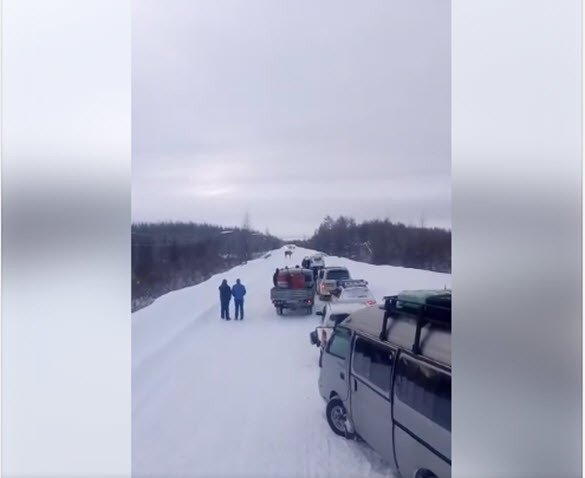 В Якутии сохатый преградил дорогу и кидался на машины