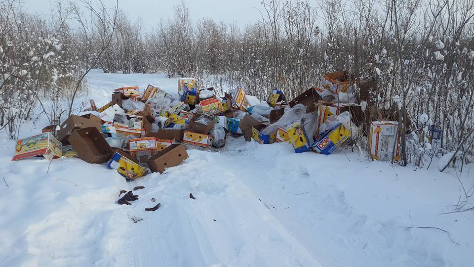 Мусор на Зеленом лугу