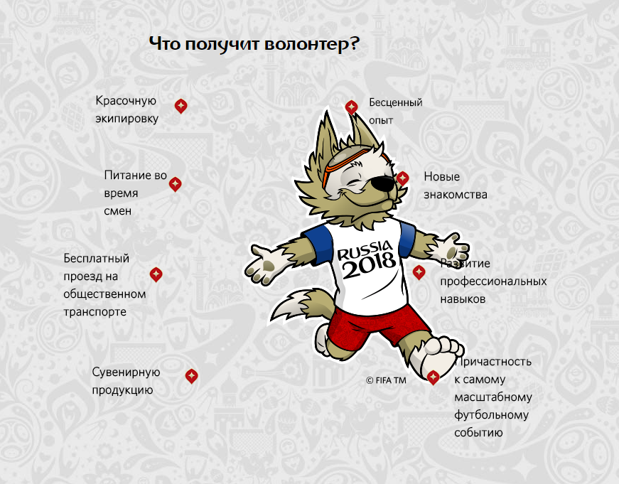 Начался прием заявок волонтеров из Якутии на чемпионат мира по футболу FIFА 2018