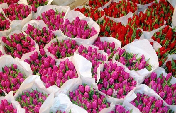 Якутянка стала жертвой мошенников, заказав тюльпаны к 8 Марта