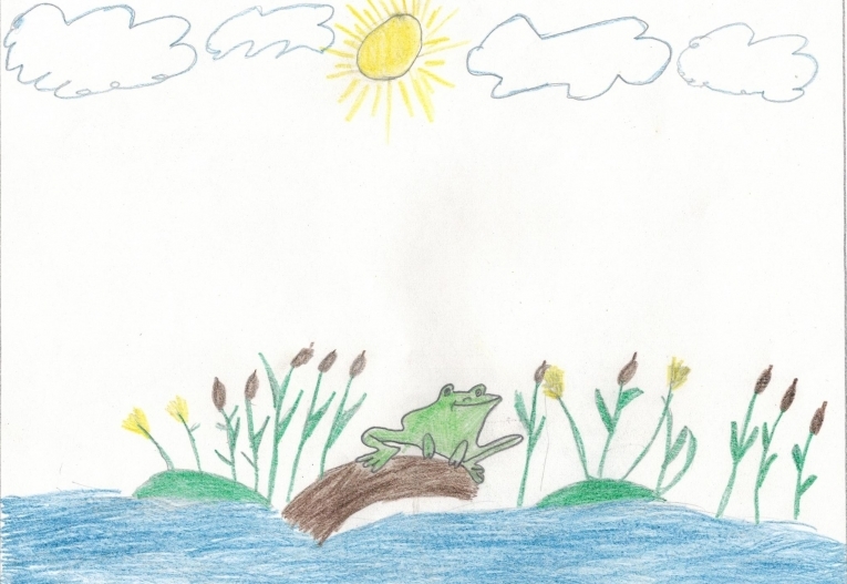 рисунок лягушки