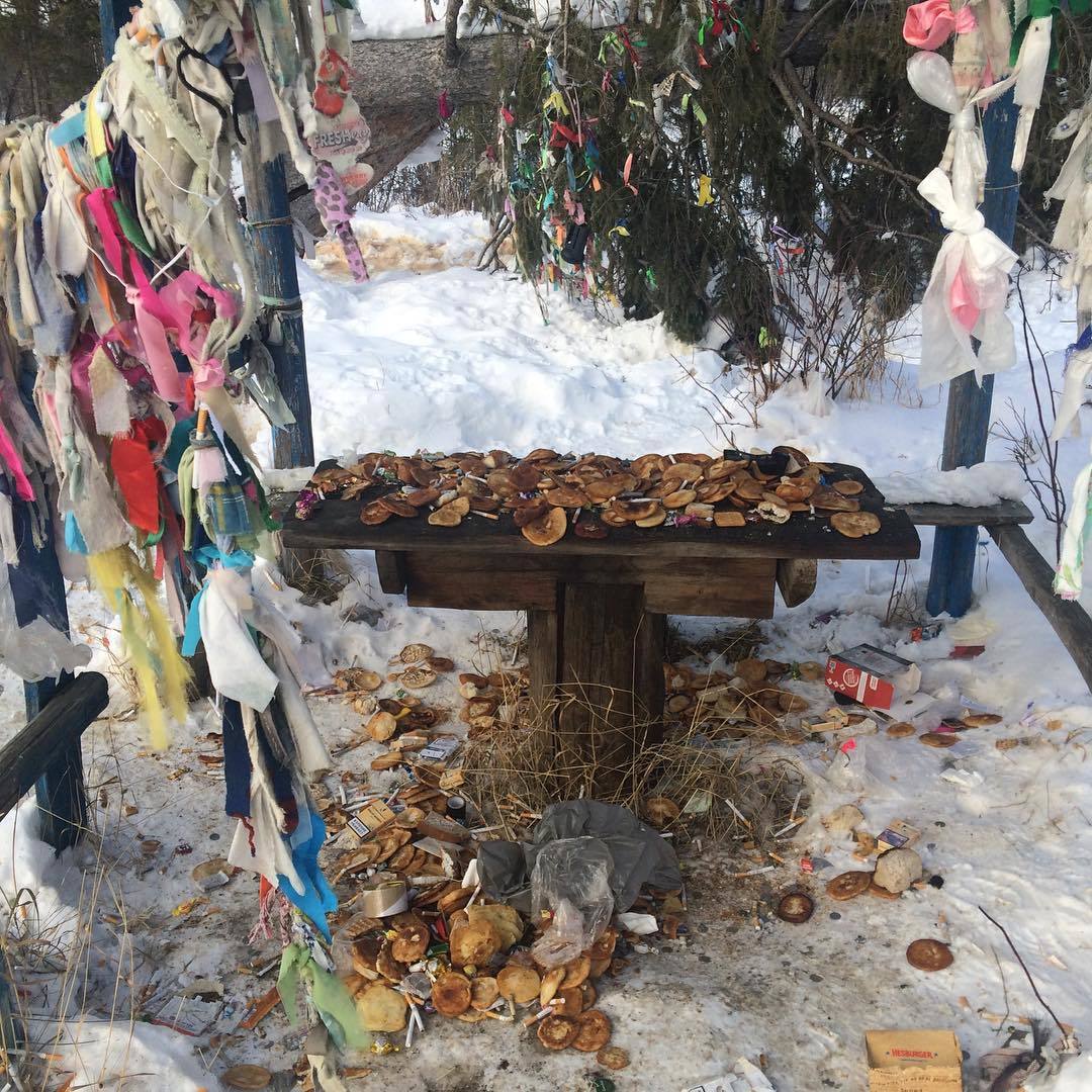 Фотофакт: В Якутии возле шаман-дерева устроили помойку