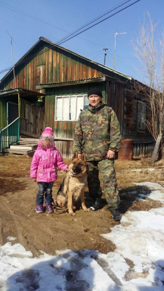 Служебная собака Рига помогла полицейским найти заблудившуюся в лесу девочку в Якутии (видео)