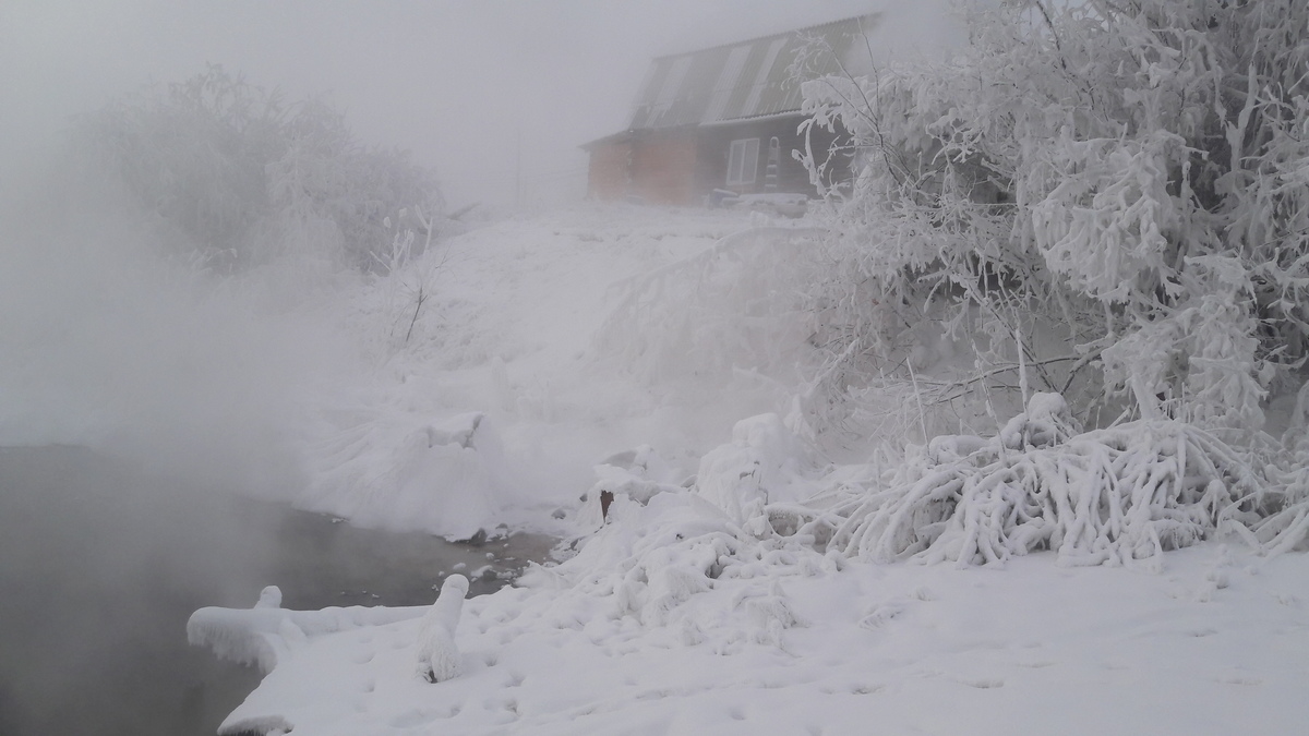 В Якутске площадь загрязнения фекалиями составила 3707 кв. м.
