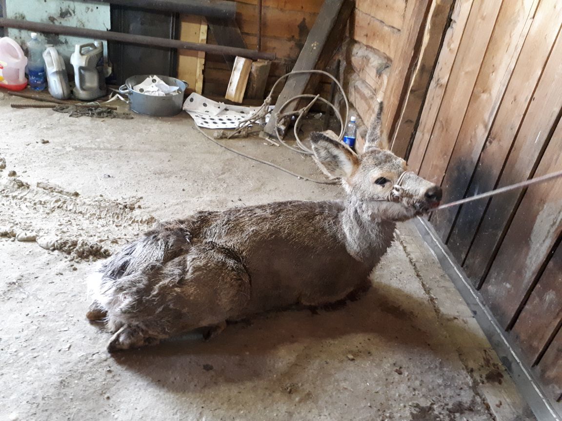 d04202a9-a608-46fe-b5f3-48bdd04e825a