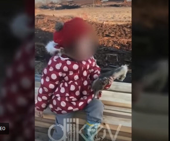 Видеофакт: В Якутии маленькая девочка играет с собачьей лапой