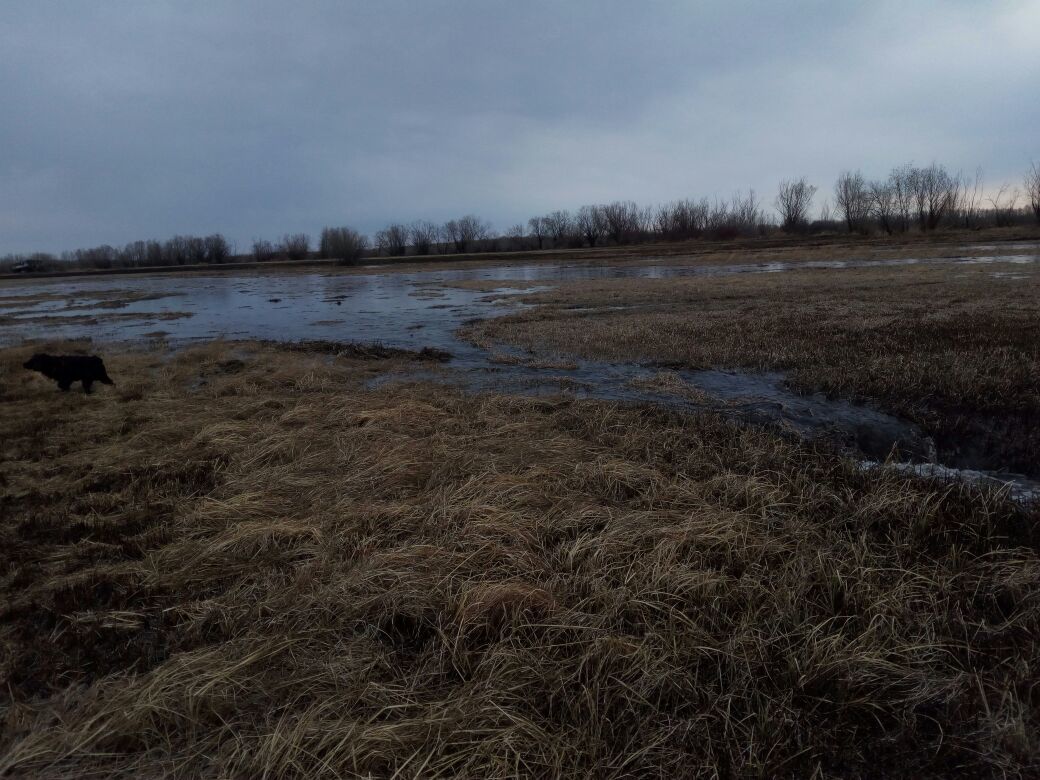 В Промышленном округе подготовлены пункты временного размещения граждан