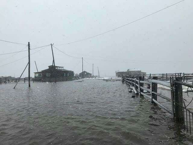 Фотофакт: В селе Мырыла Чурапчинского района подтоплено 30 жилых домов