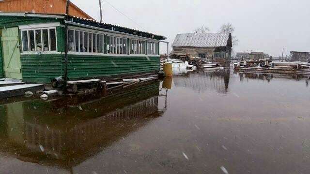 31748655_1793215244034965_5890565053966450688_n