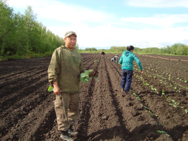 Семейное дело Захаровых