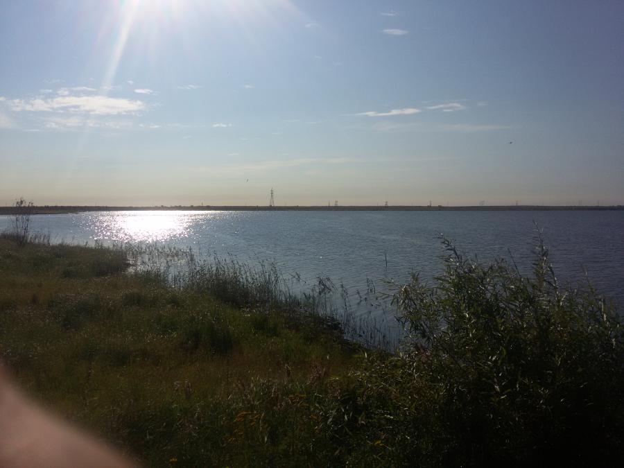 Якутские ученые: плавающая в Теплом озере форель – реально