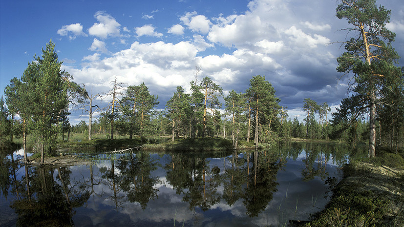Якутия вновь оказалась в аутсайдерах в "Экологическом рейтинге регионов"