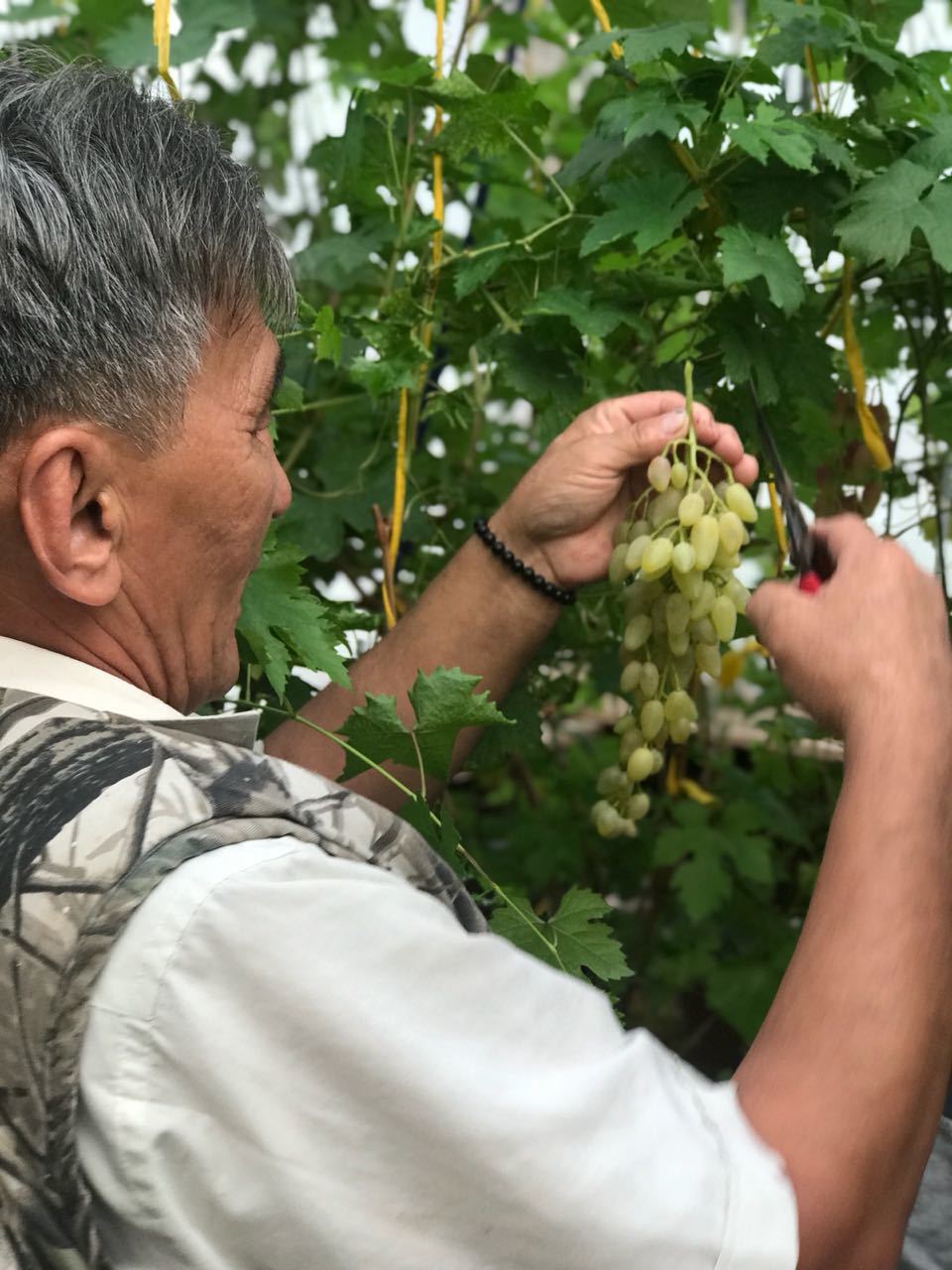 Муж Евдокии - Гаврильев Анатолий Николаевич, верный помощник и соратник во всем