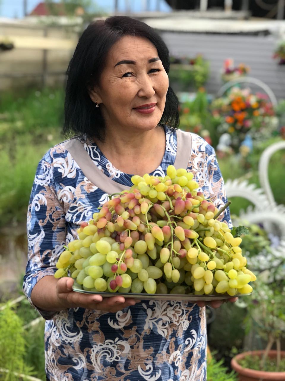 В Якутии собрали урожай винограда