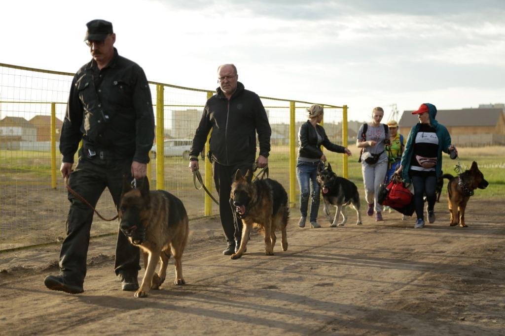 Собаководы Якутска: «Приглашаем на дог-шоу на нашей обновленной площадке!»