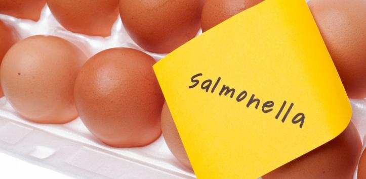 Диагноз сальмонеллез подтвержден у 24 жителей якутского села