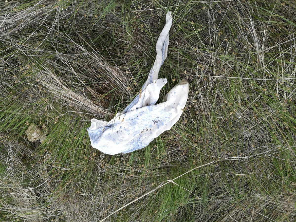 Поиски пропавшей женщины в Мегино-Кангаласском районе Якутии завершились