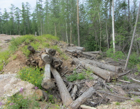 Лесные инспекторы Якутии выявили нарушения в деятельности подрядных организаций "Газпрома"