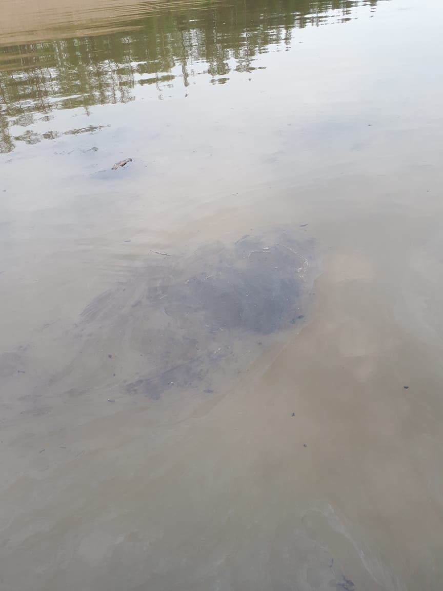 Минэкологии Якутии проверяет нефтяное пятно на реке Алдан