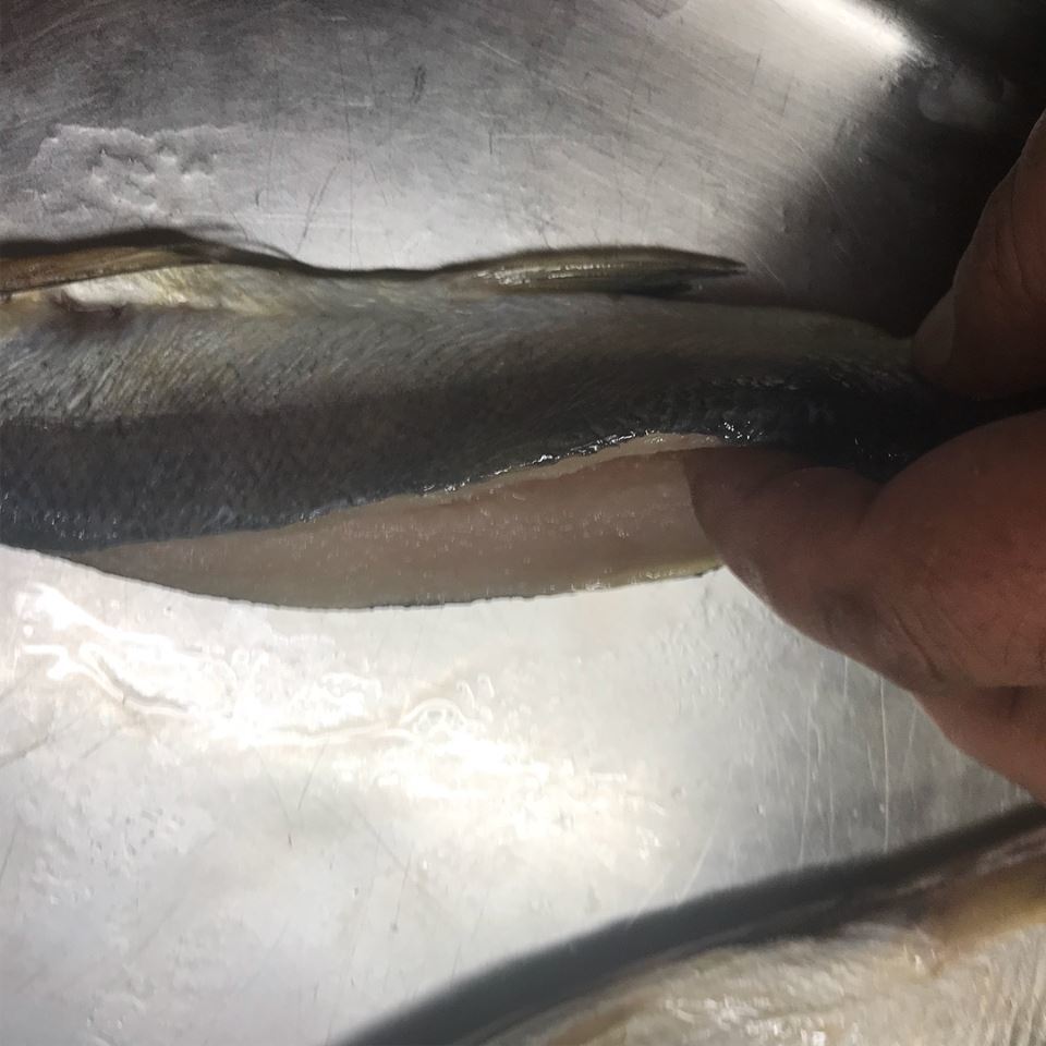 37985168_1908064742586483_2143895937263599616_n