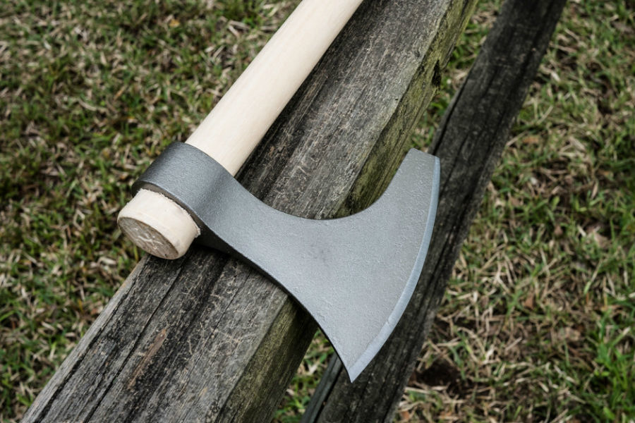 На Алтае 15-летняя девочка зарубила котенка топором