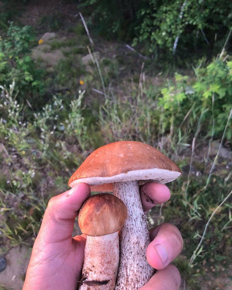 Фотофакт: "Тихая" охота министра молодежи Якутии