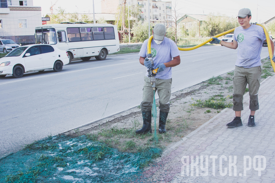 Год новаторства: В Якутске испытывают новую технологию посева газонов