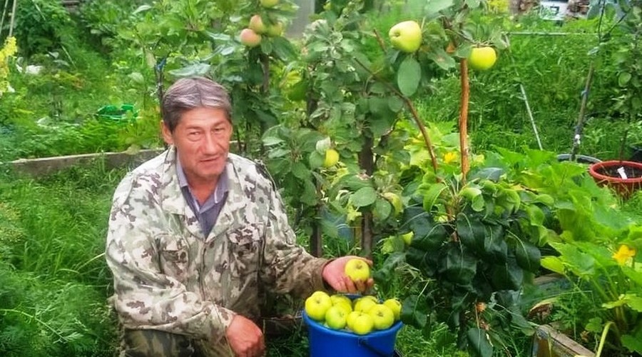 Яблоневый сад в краю вечной мерзлоты