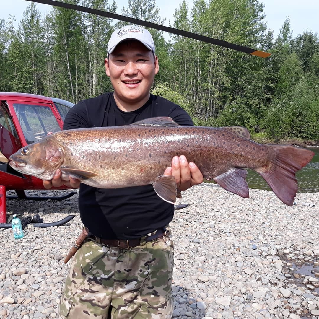 Фотофакт: Лэгэнтэй выловил огромного ленка