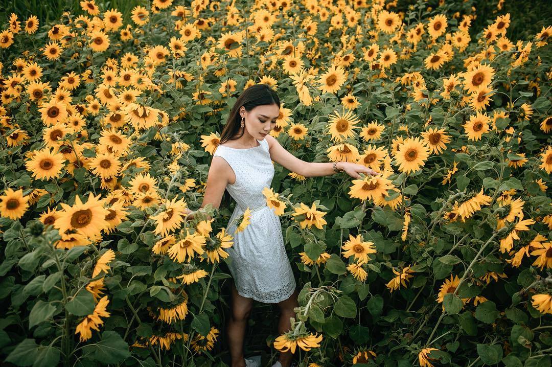 Фотофакт: Якутяне ездят фотографироваться в подсолнухах